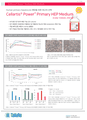 Primary Hepatocyte 장기 배양 배지